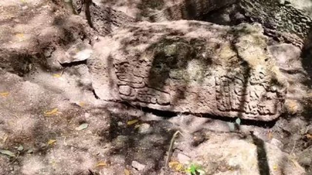 Newly Discovered Maya City Offers Insights Into Ancient Civilization's Decline