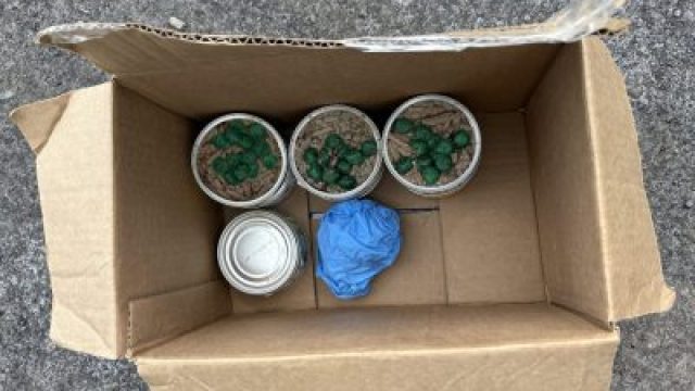 Urgent Alert: Contaminated Cat Food Detected at Local Mobile Home Park