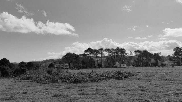 The Allure of Rural Medicine: Insights from a Country Doctor's Memoir