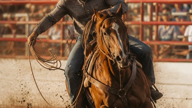 Experience Professional Rodeo Thrills in Northeast Ohio This Summer