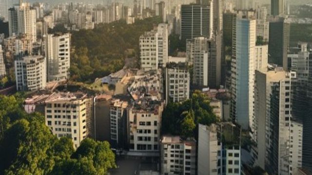 Brazil's New Environmental Payment Policy: What You Need to Know